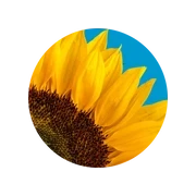 Радио Киевстар Made in Ukraine